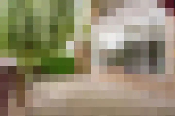 Trumanlaan 281 Utrecht thumbnail 5
