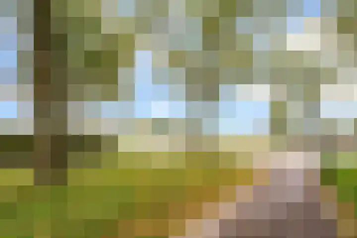 Trumanlaan 281 Utrecht thumbnail 58