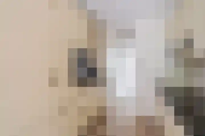 Trumanlaan 281 Utrecht thumbnail 9