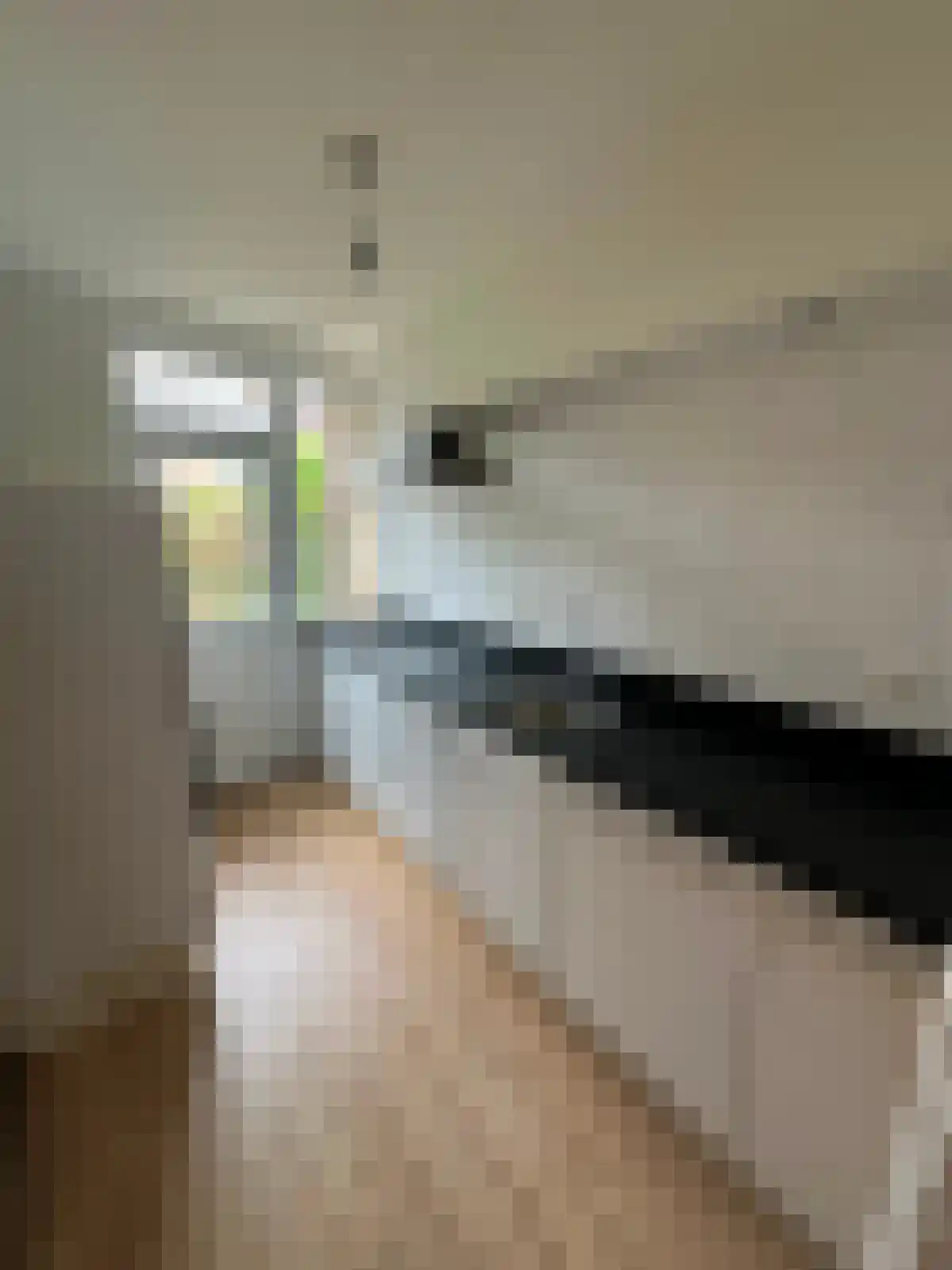 Trumanlaan 30 Utrecht thumbnail 5