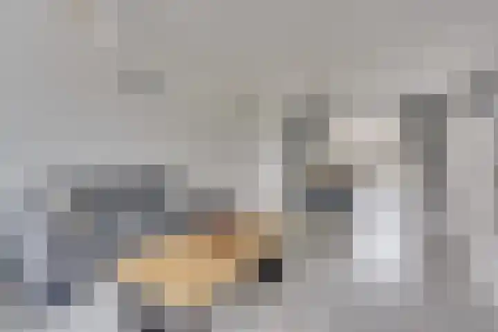 Trumanlaan 40 Utrecht thumbnail 12