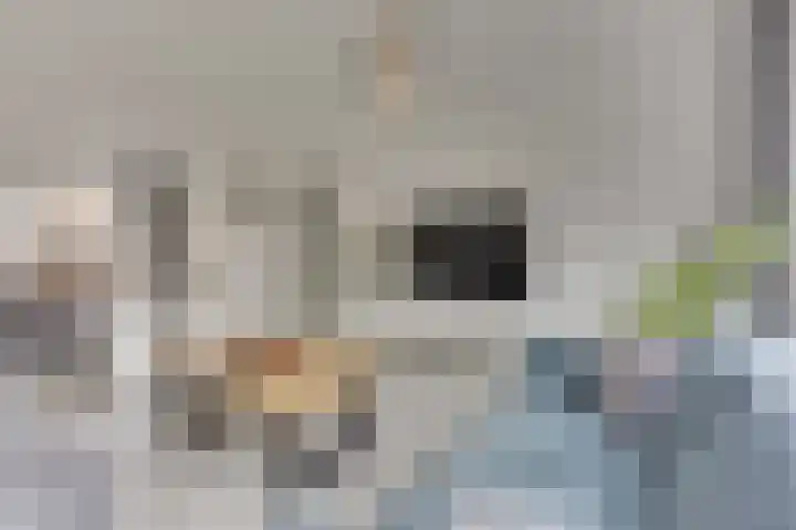 Trumanlaan 40 Utrecht thumbnail 13
