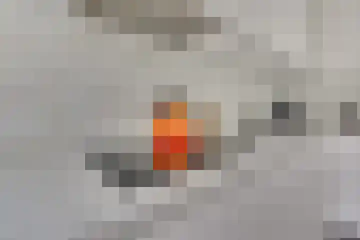 Trumanlaan 40 Utrecht thumbnail 21