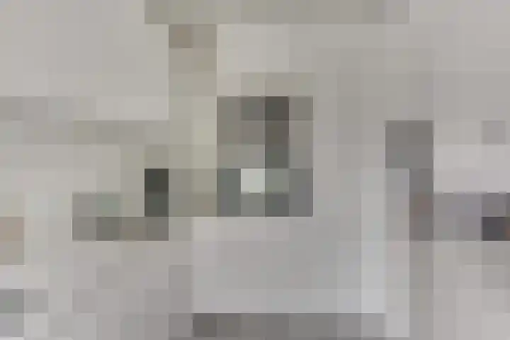 Trumanlaan 40 Utrecht thumbnail 22