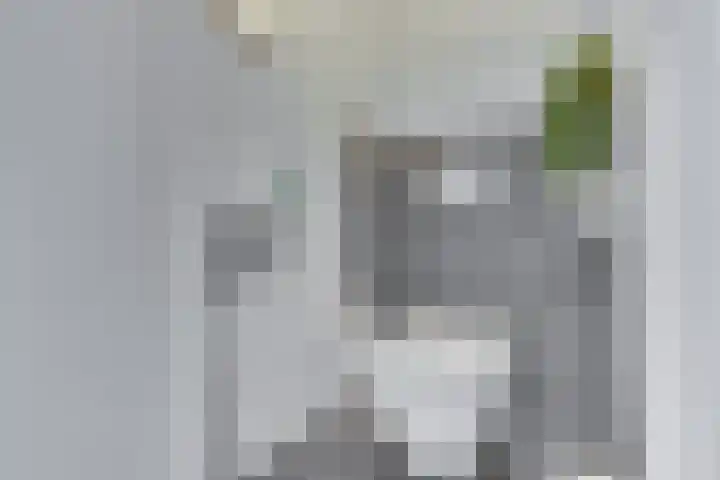 Trumanlaan 40 Utrecht thumbnail 28