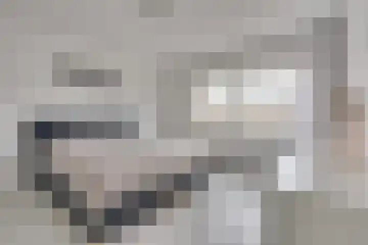 Trumanlaan 40 Utrecht thumbnail 30
