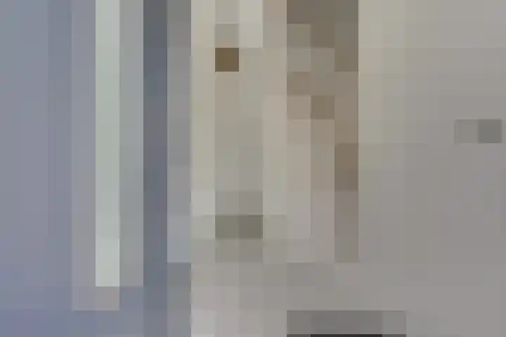 Trumanlaan 40 Utrecht thumbnail 6