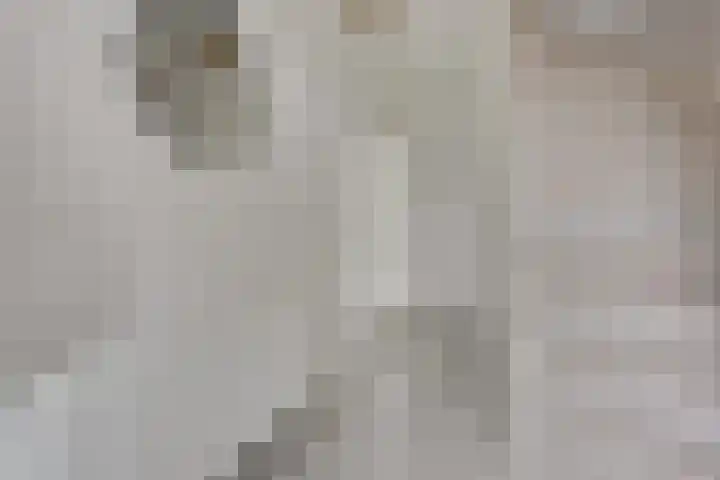 Trumanlaan 40 Utrecht thumbnail 7