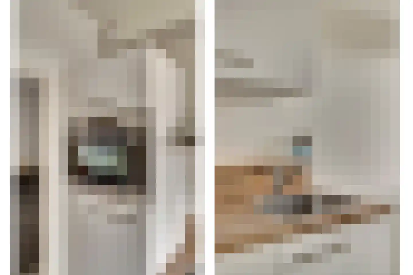 Trumanlaan 453 Utrecht thumbnail 19