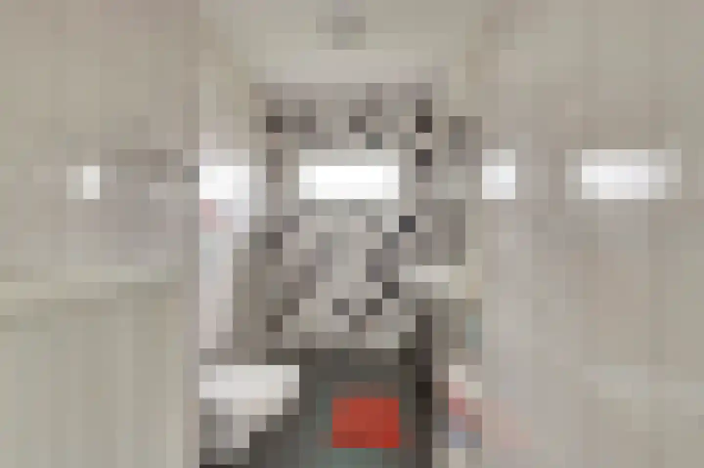 Trumanlaan 453 Utrecht thumbnail 26