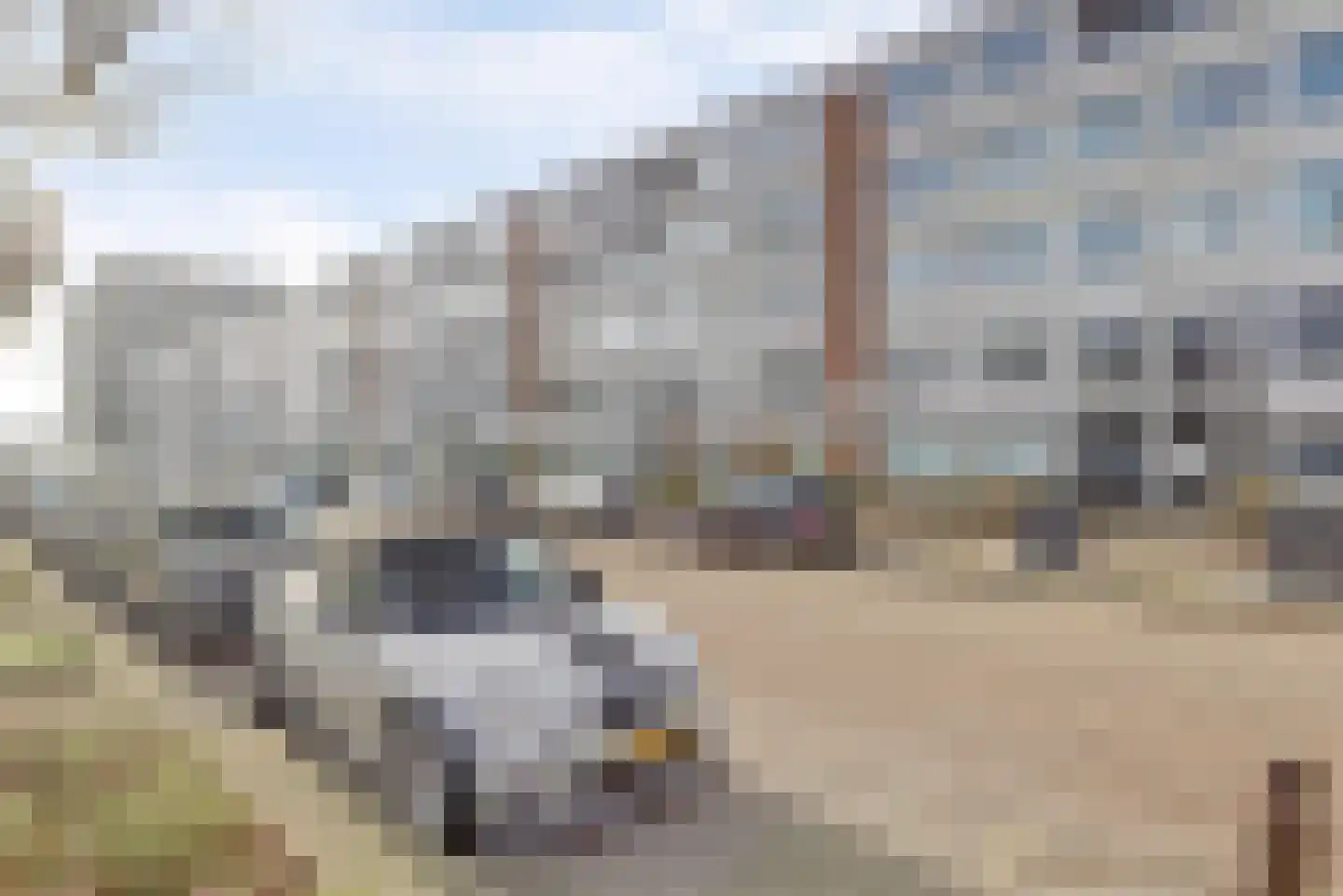 Trumanlaan 453 Utrecht thumbnail 38