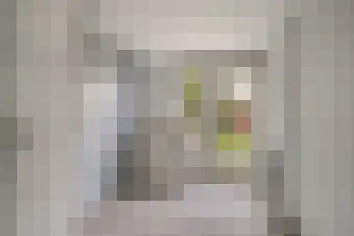Trumanlaan 48 Harderwijk thumbnail 16