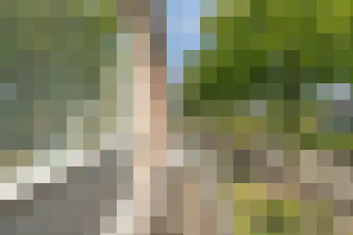 Trumanlaan 48 Harderwijk thumbnail 27