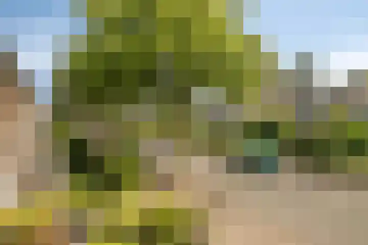 Trumanlaan 48 Harderwijk thumbnail 28