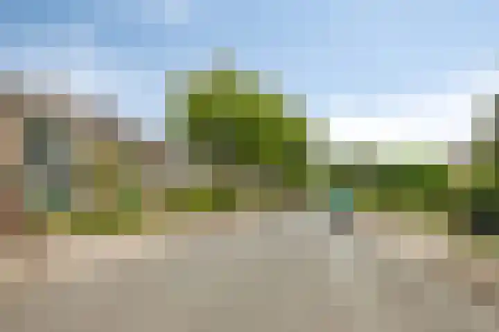 Trumanlaan 48 Harderwijk thumbnail 4