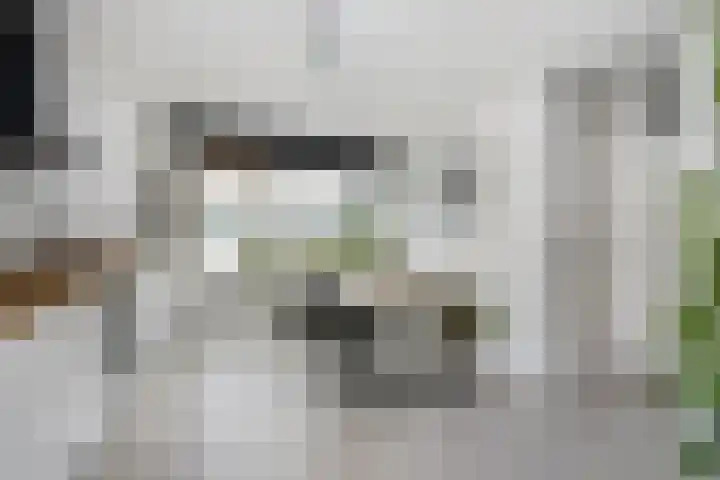 Trumanlaan 493 A Utrecht thumbnail 11
