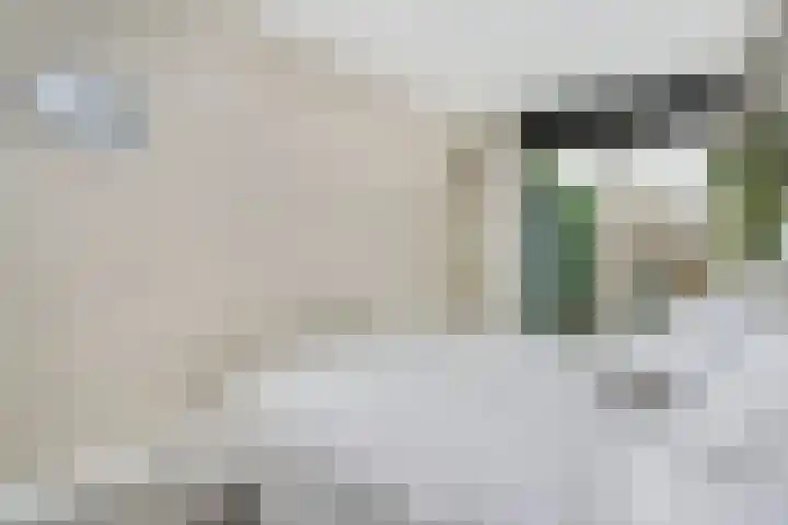 Trumanlaan 493 A Utrecht thumbnail 20