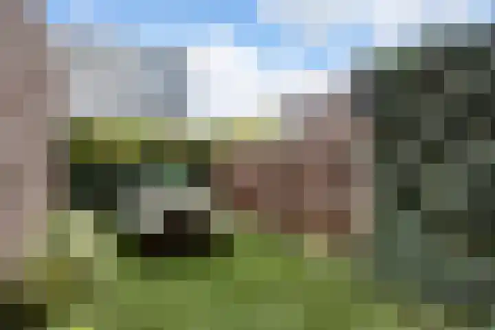 Trumanlaan 493 A Utrecht thumbnail 24