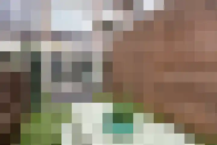 Trumanlaan 493 A Utrecht thumbnail 29