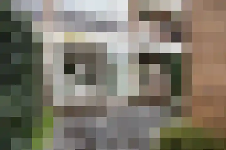 Trumanlaan 493 A Utrecht thumbnail 30