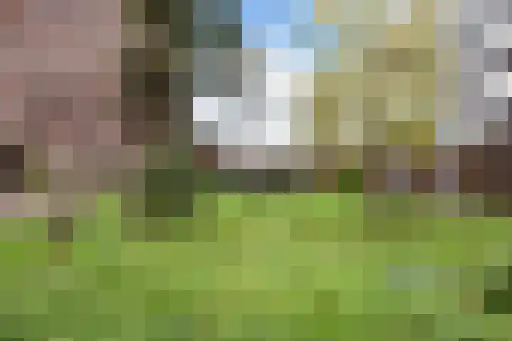 Trumanlaan 493 A Utrecht thumbnail 33