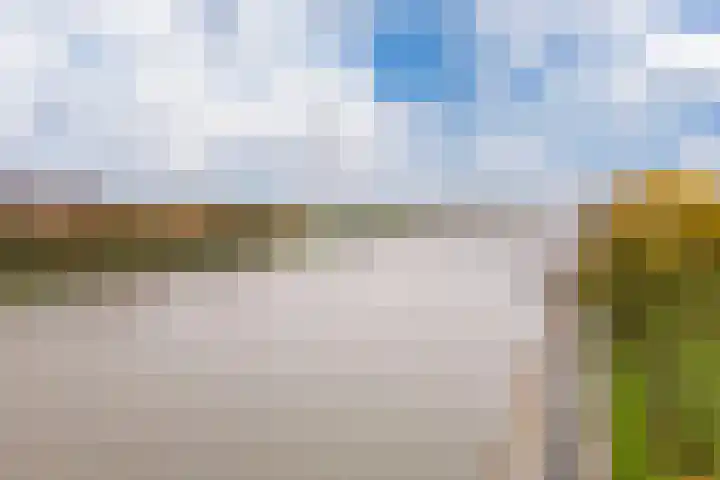Trumanlaan 493 A Utrecht thumbnail 43