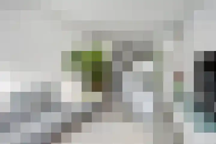 Trumanlaan 493 A Utrecht thumbnail 7