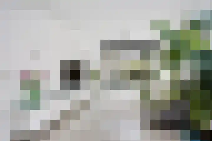 Trumanlaan 493 A Utrecht thumbnail 8