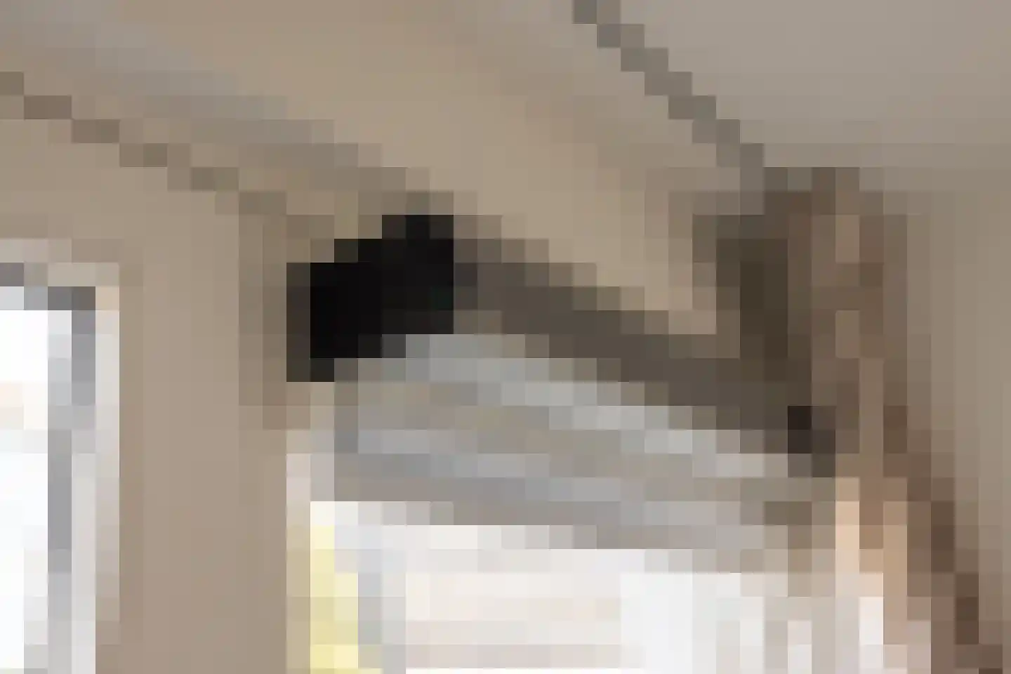 Trumanlaan 493 Utrecht thumbnail 26