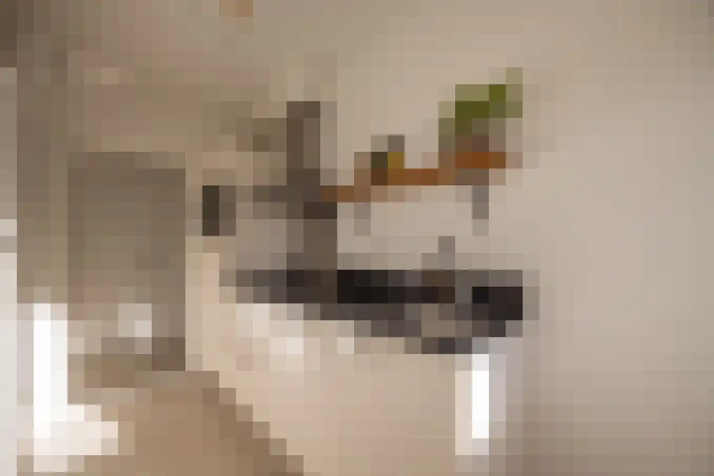 Trumanlaan 493 Utrecht thumbnail 31