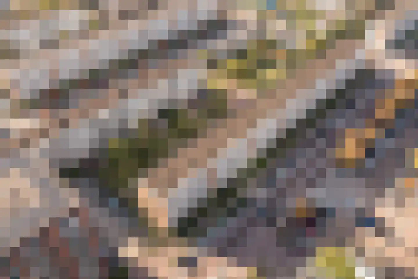 Trumanlaan 493 Utrecht thumbnail 41