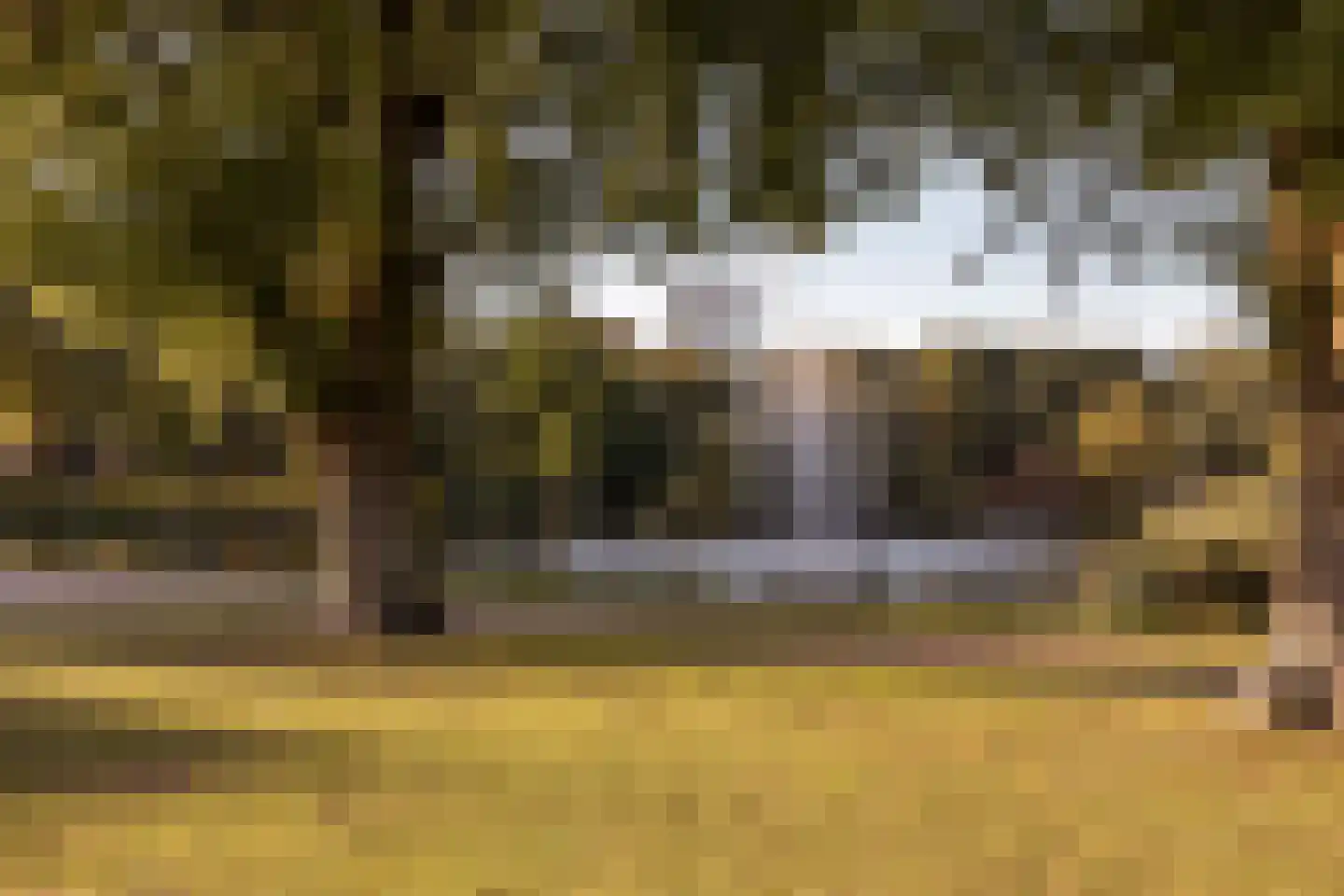 Trumanlaan 493 Utrecht thumbnail 43