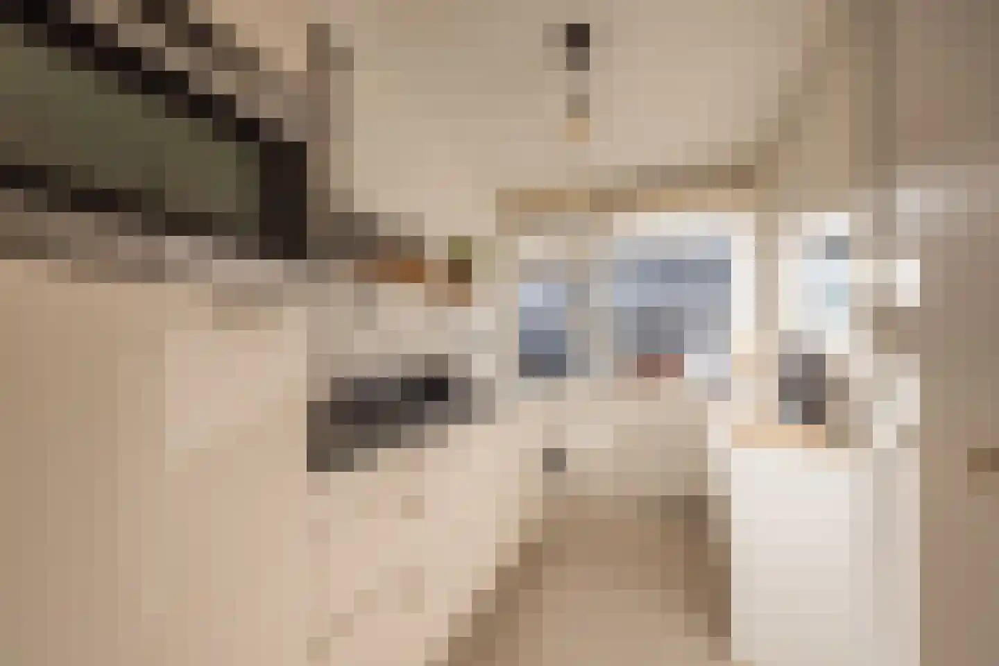 Trumanlaan 493 Utrecht thumbnail 5