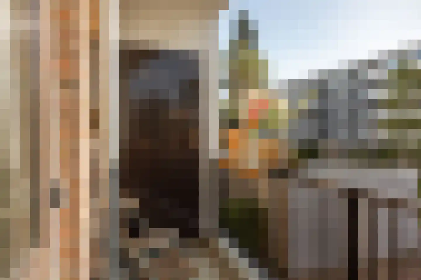 Trumanlaan 493 Utrecht thumbnail 6