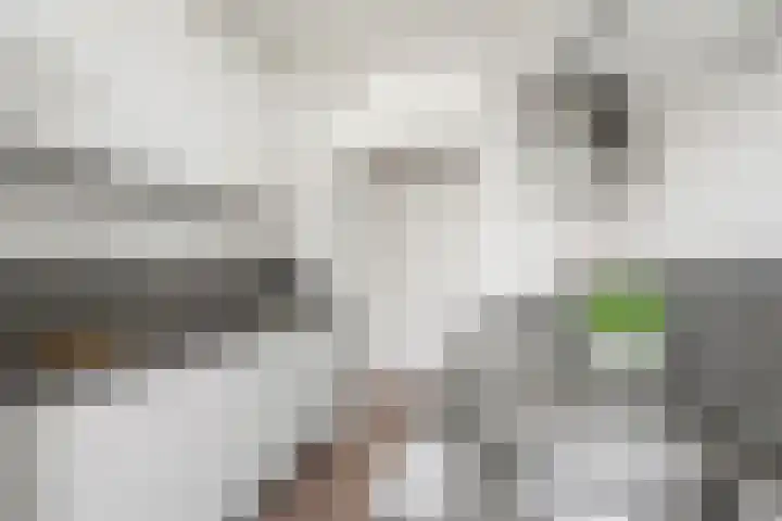 Trumanlaan 497 Utrecht thumbnail 12