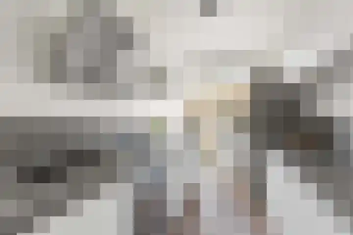 Trumanlaan 497 Utrecht thumbnail 13