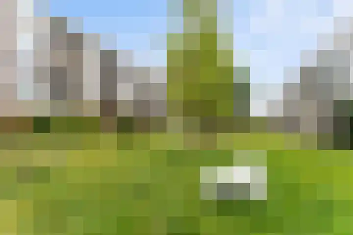 Trumanlaan 497 Utrecht thumbnail 18