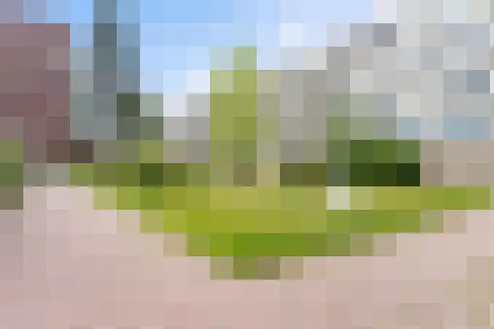 Trumanlaan 497 Utrecht thumbnail 19