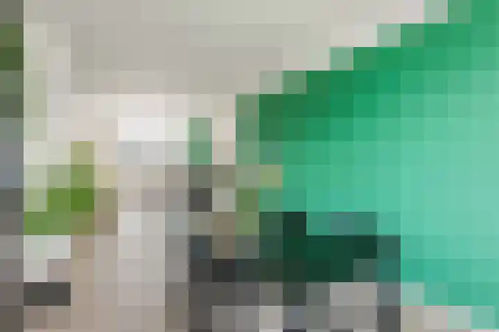 Trumanlaan 497 Utrecht thumbnail 9