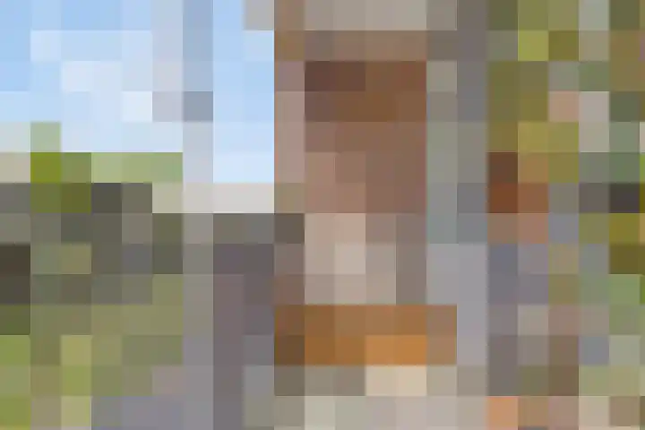 Trumanlaan 533 Utrecht thumbnail 10