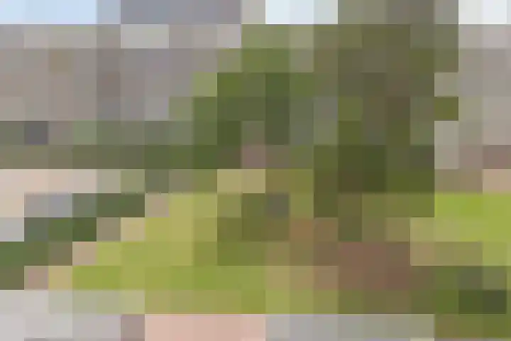 Trumanlaan 533 Utrecht thumbnail 12