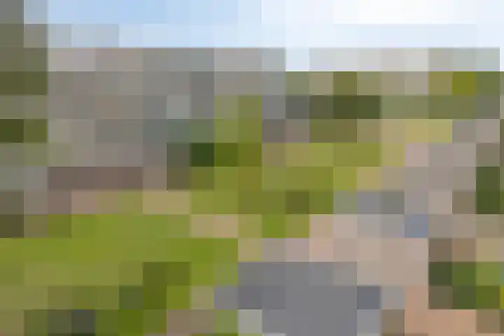 Trumanlaan 533 Utrecht thumbnail 13