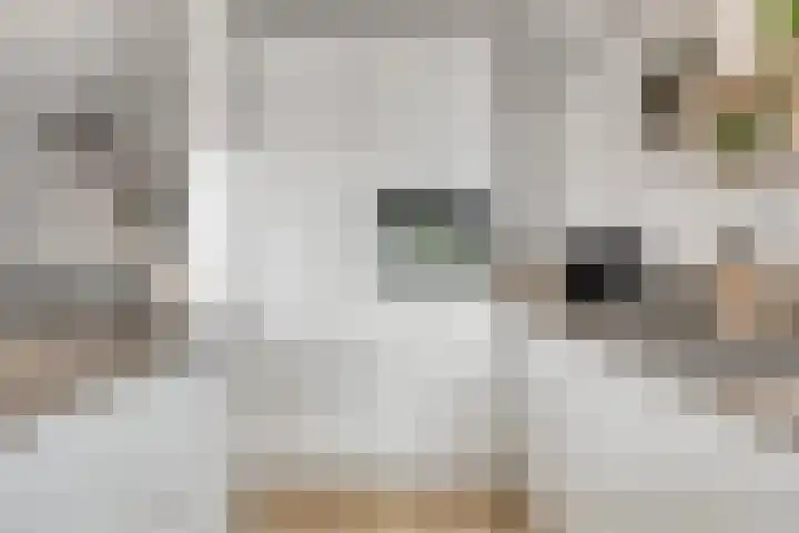 Trumanlaan 533 Utrecht thumbnail 14