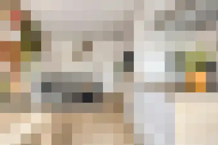 Trumanlaan 533 Utrecht thumbnail 17
