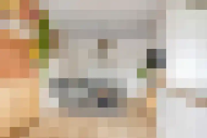Trumanlaan 533 Utrecht thumbnail 18