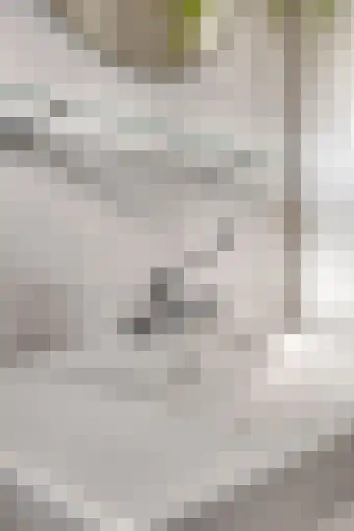 Trumanlaan 533 Utrecht thumbnail 24