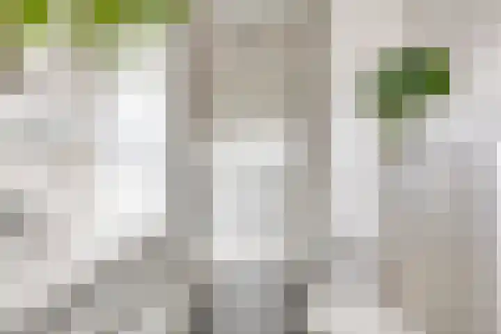 Trumanlaan 533 Utrecht thumbnail 26