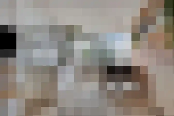 Trumanlaan 533 Utrecht thumbnail 6