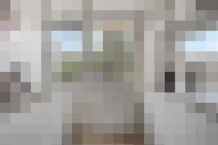 Trumanlaan 533 Utrecht thumbnail 9