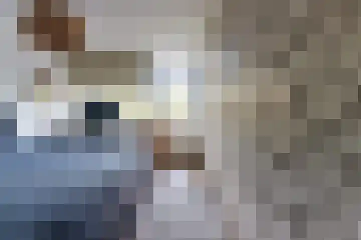 Trumanlaan 54 A Utrecht thumbnail 14